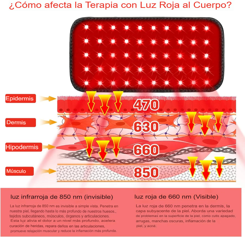 LifeBeam365™ - Cinturón de Terapia de Luz Roja Infrarroja